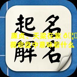 廉贞、天梁在紫 🦍 薇命盘中意味着什么